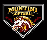 Montini Softball Hooded Sweatshirt