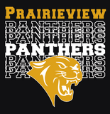 Prairieview Panthers Women’s Relaxed Jersey V-Neck Tee